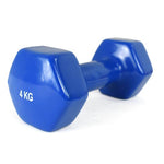 Weighted Dumbbell