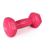 Weighted Dumbbell